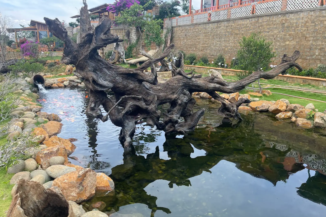 Dịch vụ thiết kế & thi công hồ cá Koi tại Nguyên Khang Decor Dịch vụ thiết kế & thi công hồ cá Koi tại Nguyên Khang Decor
