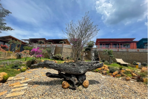 Thiết kế thi công cảnh quan sân vườn Thiết kế thi công cảnh quan sân vườn