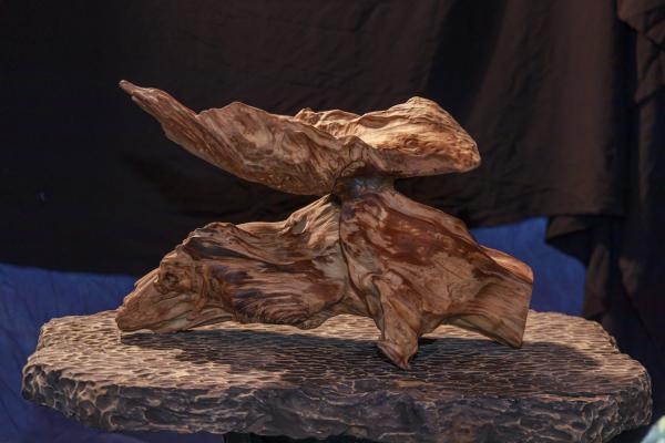 Gỗ Lũa Là Gì? Giải Mã 