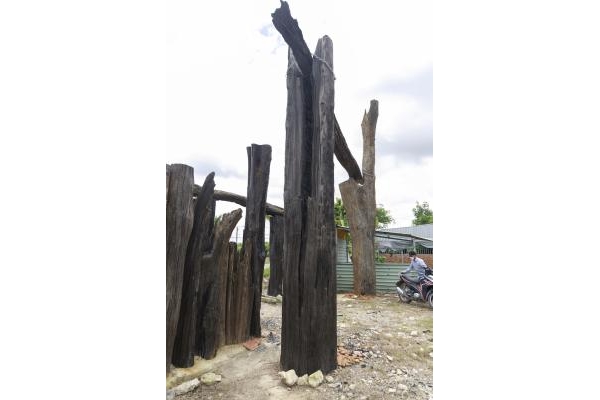 Phân Loại Gỗ Lũa: 3 Cách Phân Biệt Để Nhận Biết Giá Trị & Ứng Dụng