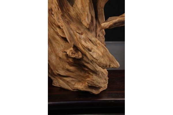 Cách Chọn Gỗ Lũa: Cẩm Nang A-Z