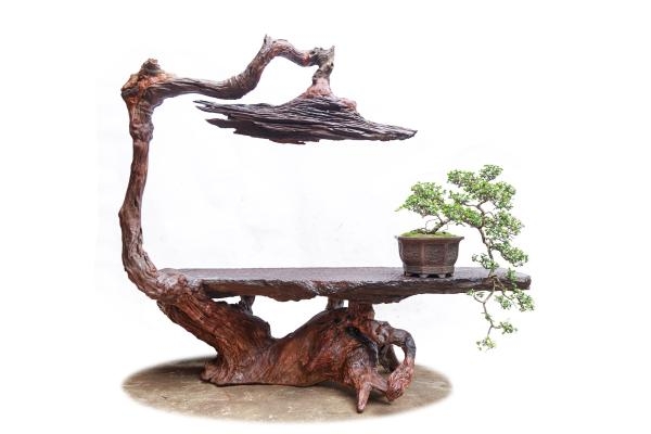 Vai Trò Của Gỗ Lũa Trong Trang Trí Nội Thất