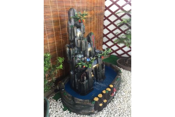 Hướng Dẫn Chơi Thủy Sinh Với Gỗ Lũa