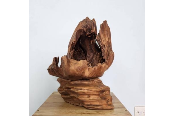 Tiểu Cảnh Gỗ Lũa: Hướng Dẫn A-Z Sáng Tạo Nghệ Thuật Độc Bản