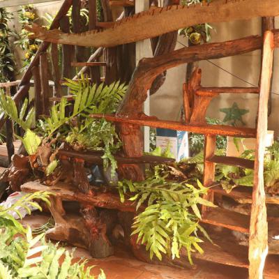 Kệ gỗ lũa decor NKD01